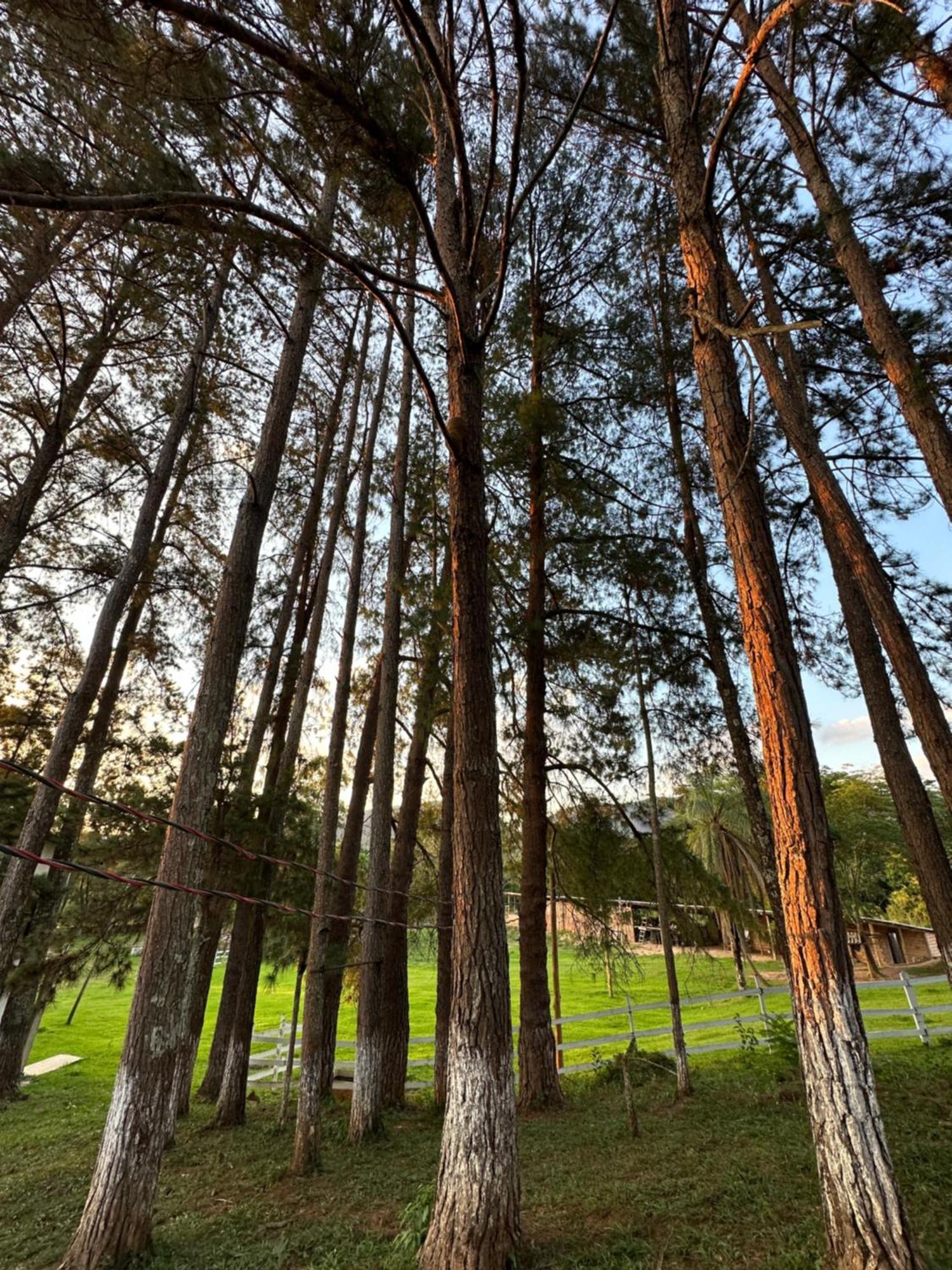 Hotel Pontal De Tiradentes Εξωτερικό φωτογραφία