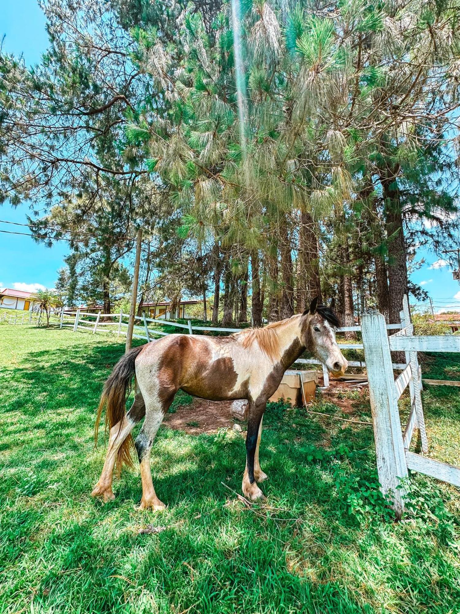 Hotel Pontal De Tiradentes Εξωτερικό φωτογραφία